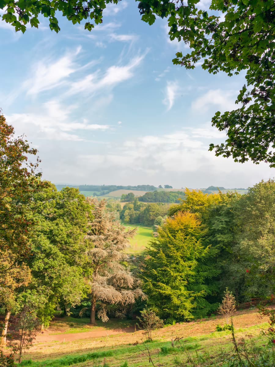 Witley